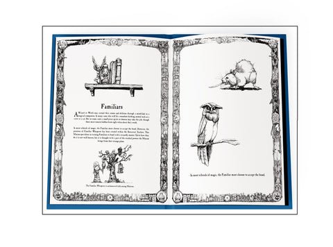 The Sorcerers' Enclave Book with Posters and Postcards - Exalted Funeral