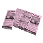 Hideo's World Pamphlet + PDF