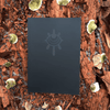 Iron & Lies + PDF