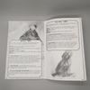 Lowcountry Crawl, Issue 1.5: Pirate Isles + PDF
