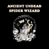 Ancient Undead Spider Wizard -Vinyl + PDF - Exalted Funeral
