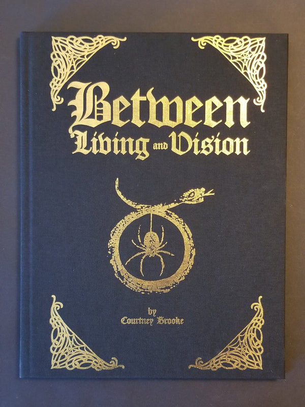 Between Living & Vision, Light Witch Volume 1 - Exalted Funeral