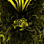 Dive + PDF - Exalted Funeral