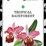 Globetrotter's Guide to Greenery: Tropical Rainforest