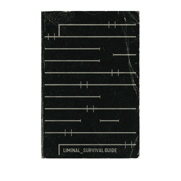 Liminal_ (Liminal Space) Bundle + PDF