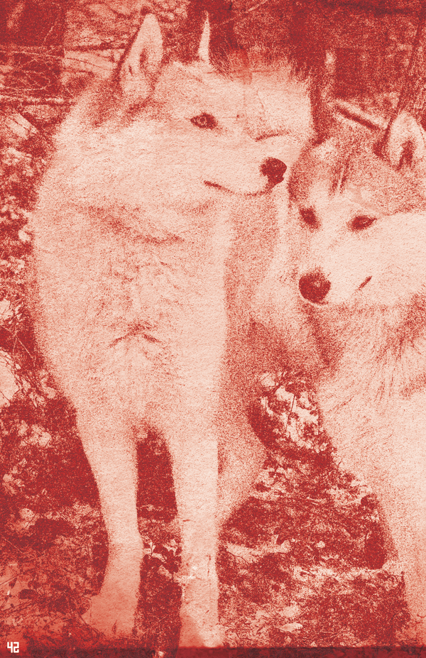 The Very Good Dogs of Chernobyl + PDF - Exalted Funeral